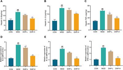 Untargeted metabonomics and TLR4/ NF-κB signaling pathway analysis reveals potential mechanism of action of Dendrobium huoshanense polysaccharide in nonalcoholic fatty liver disease